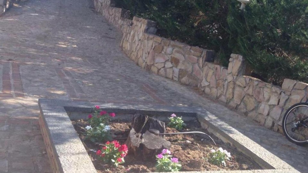 Photo of Outdoor in Raffo