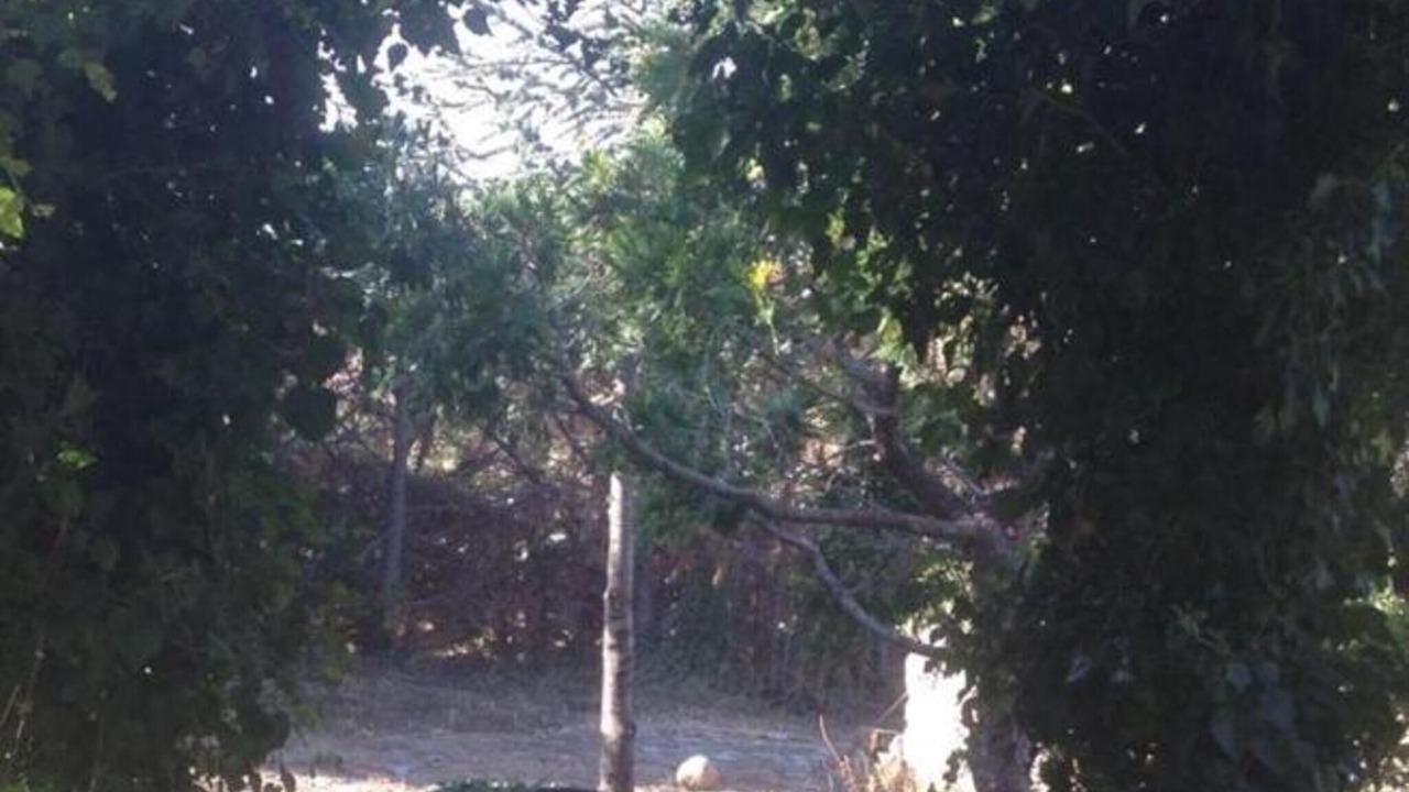 Photo of Outdoor in Raffo