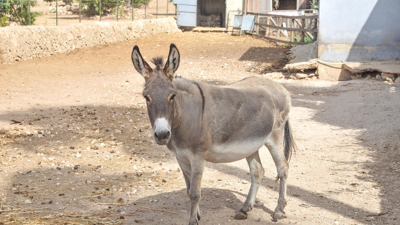 Photo of Others in Pozzallo