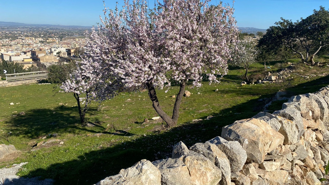 Photo of Outdoor in Comiso