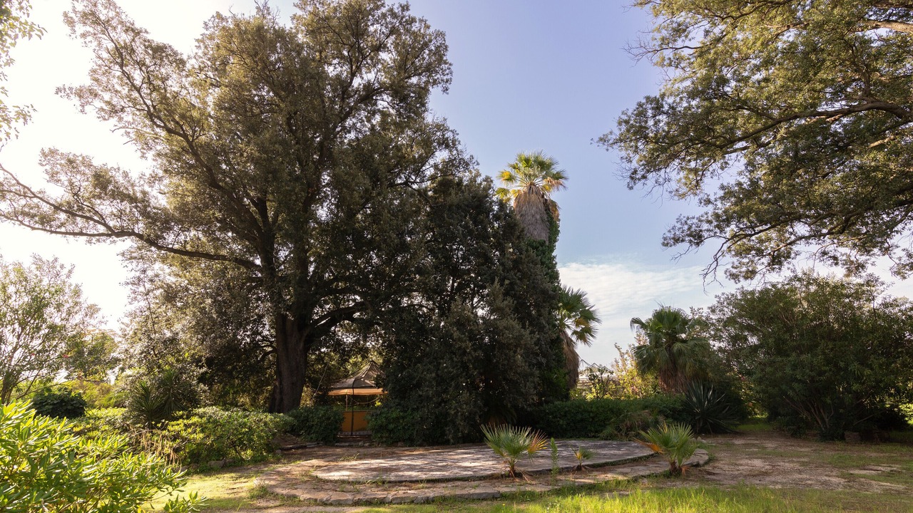 Photo of Outdoor in Mockarta