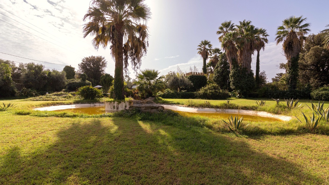 Photo of Outdoor in Mockarta