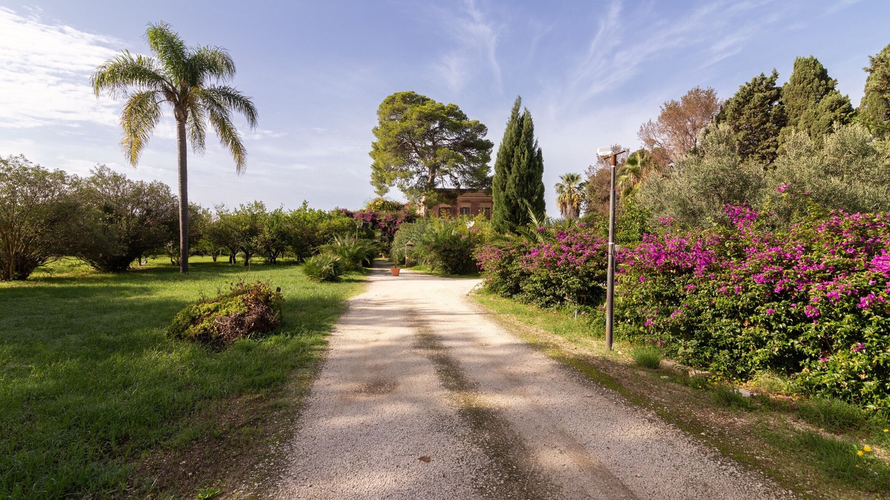 Photo of Outdoor in Mockarta