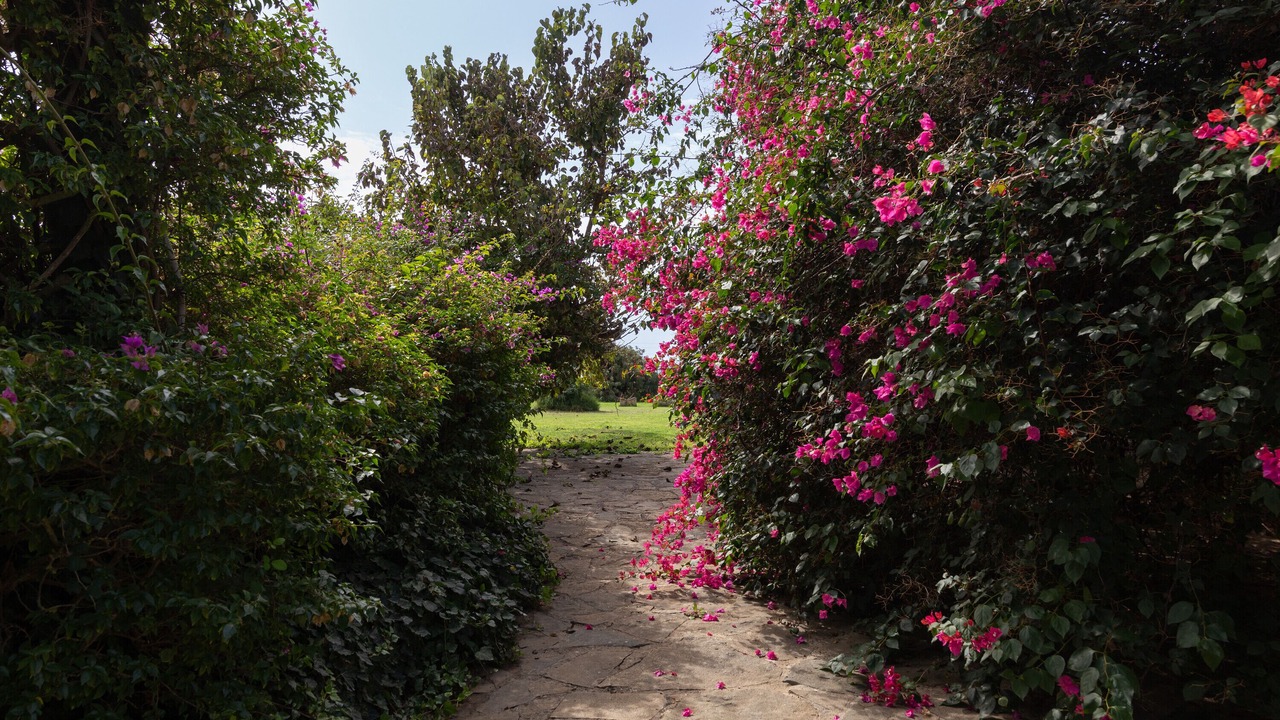 Photo of Outdoor in Mockarta