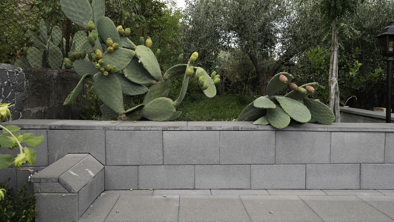 Photo of Outdoor in Viagrande