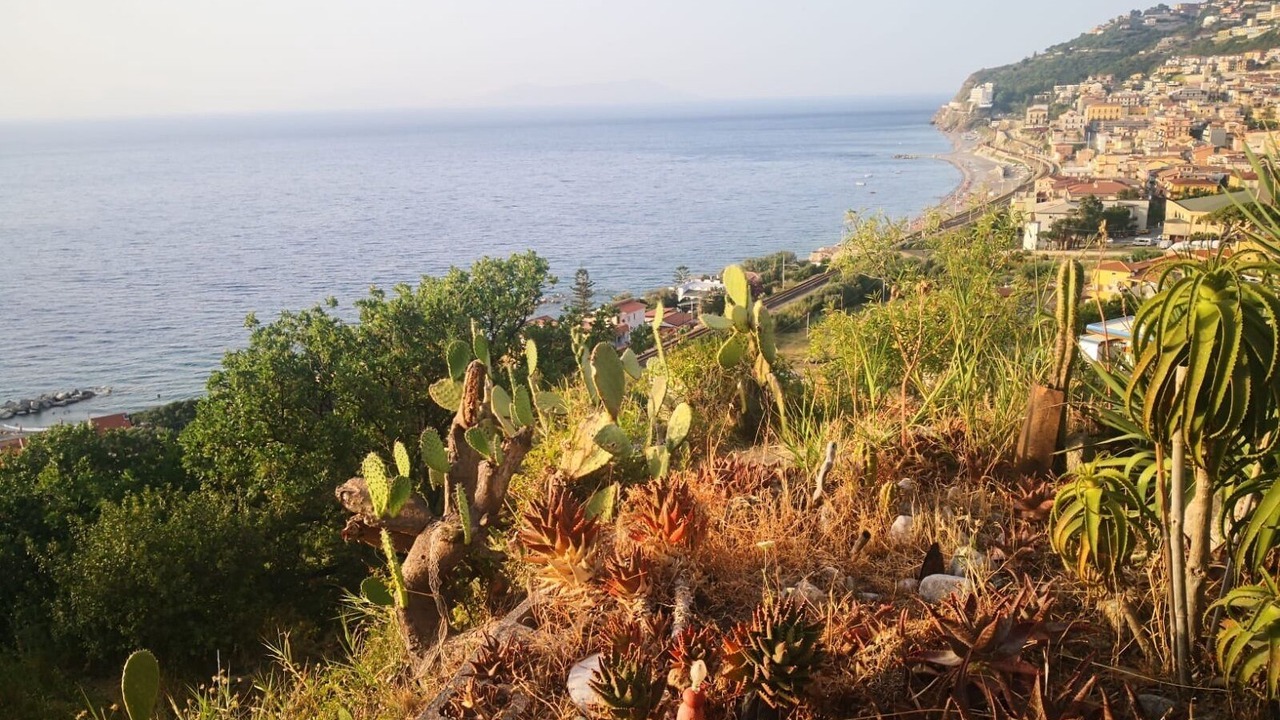 Photo of Others in Piraino