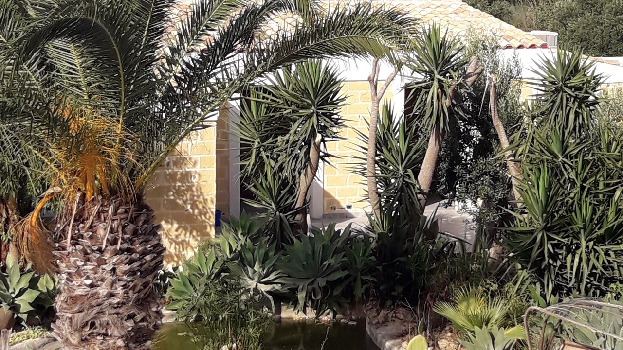 Photo of Outdoor in Arini