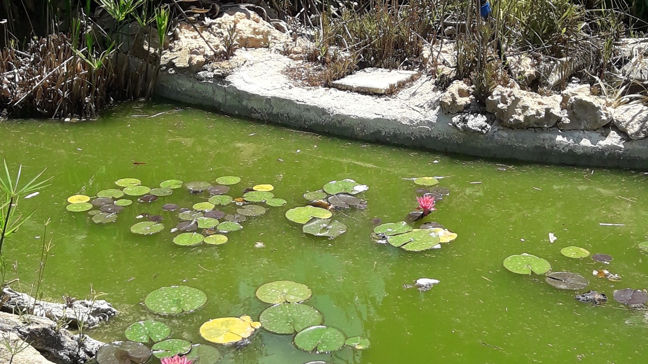 Photo of Outdoor in Arini