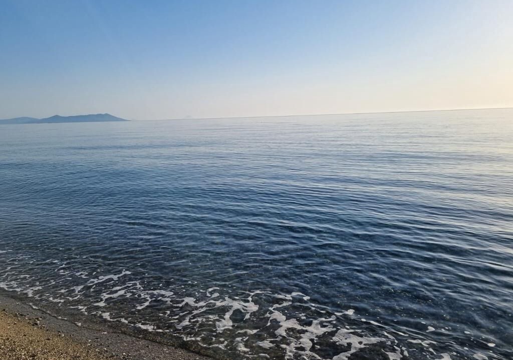 Photo of Others in Gioiosa Marea