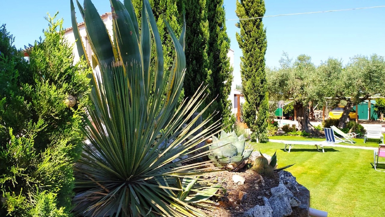 Photo of Outdoor in Sciacca