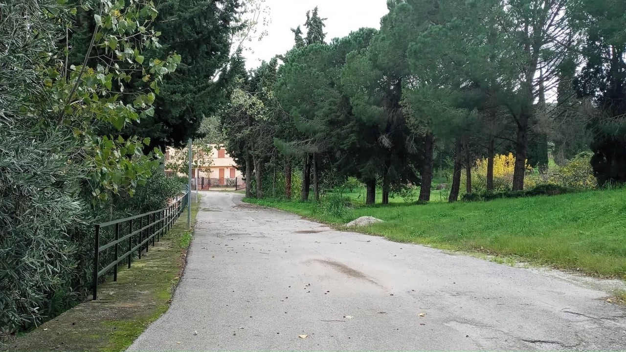 Photo of Outdoor in Pollina