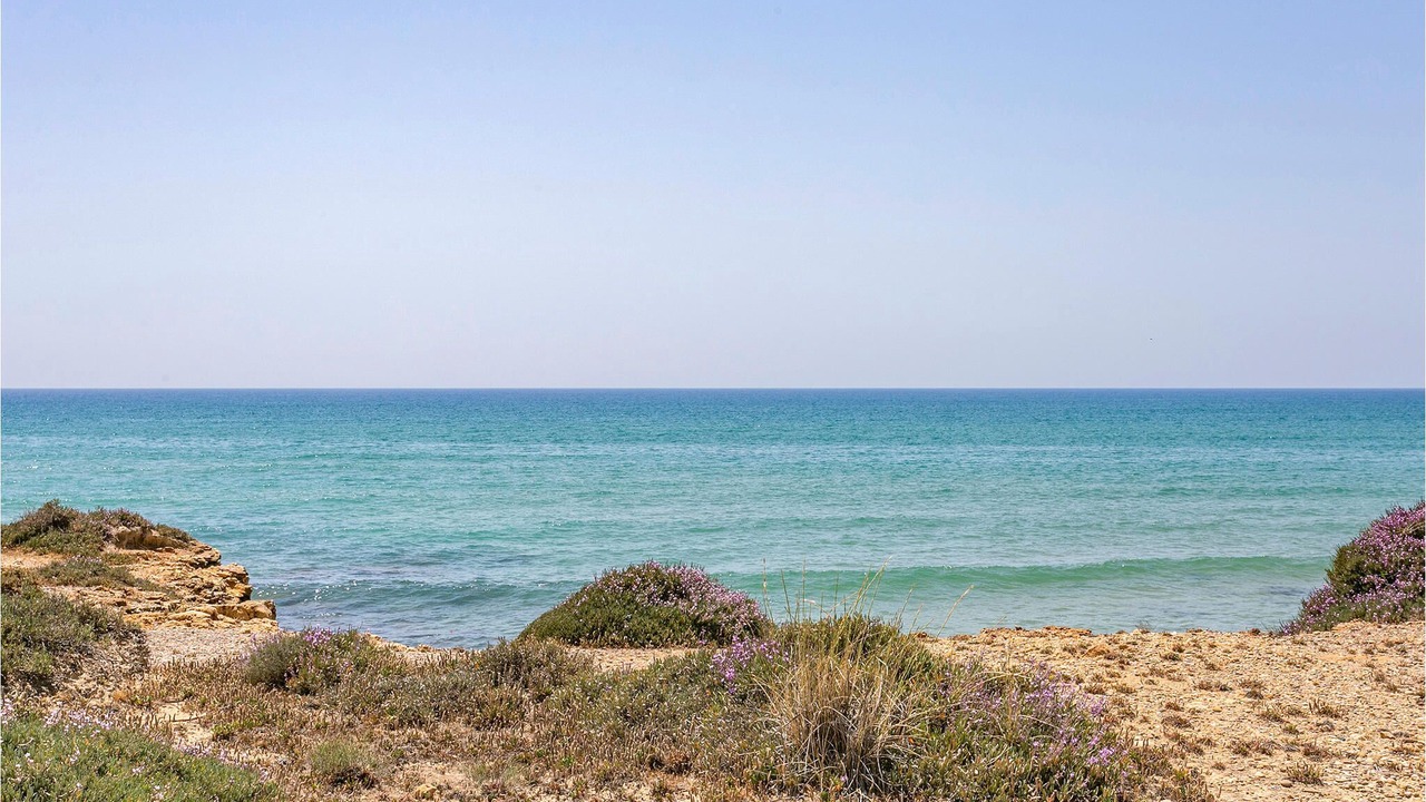 Photo of Others in Caucana-finaiti-casuzze-finaiti Nord