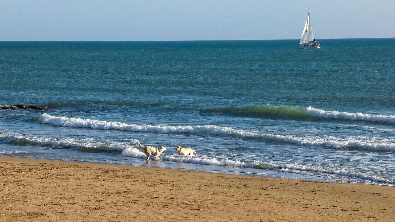 Photo of Others in Caucana-finaiti-casuzze-finaiti Nord