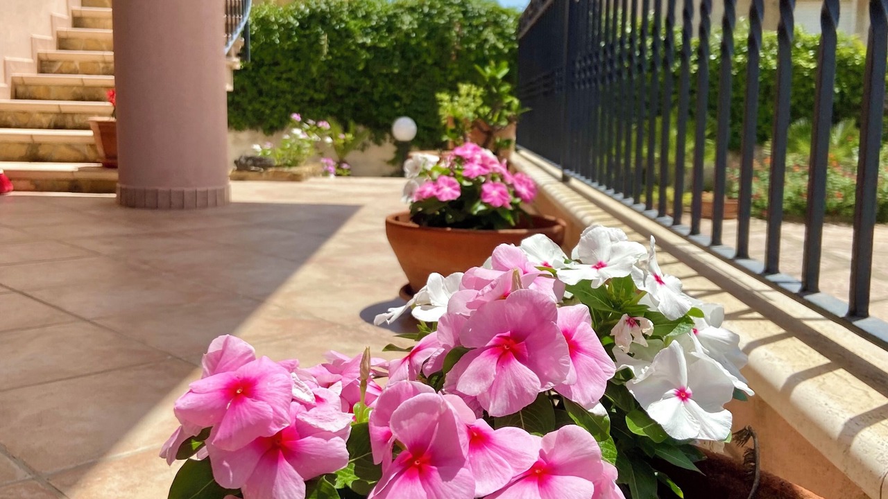 Photo of Outdoor in Porto Palo