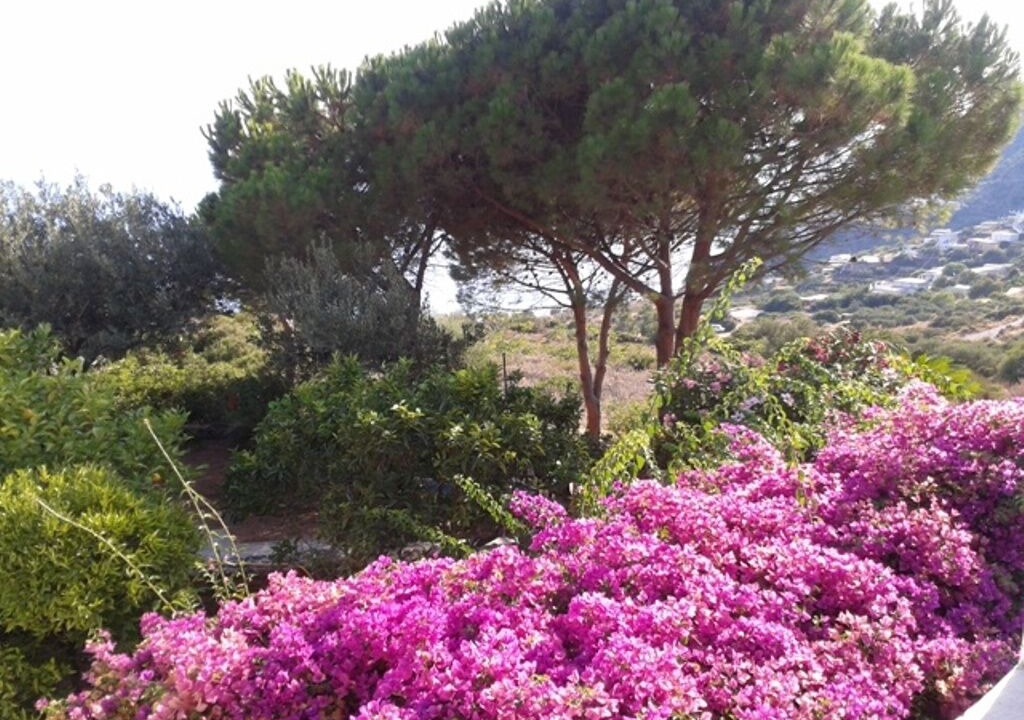 Photo of Outdoor in Filicudi Porto