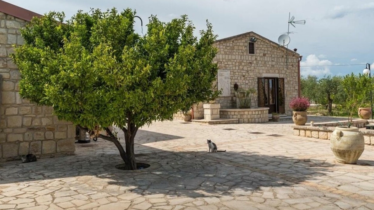 Photo of Outdoor in Casa Papa