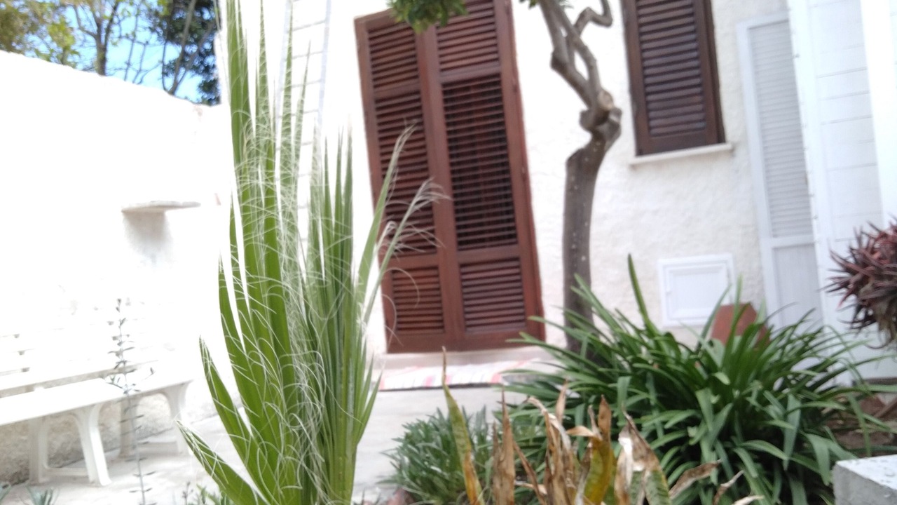Photo of Outdoor in Birgi Vecchi