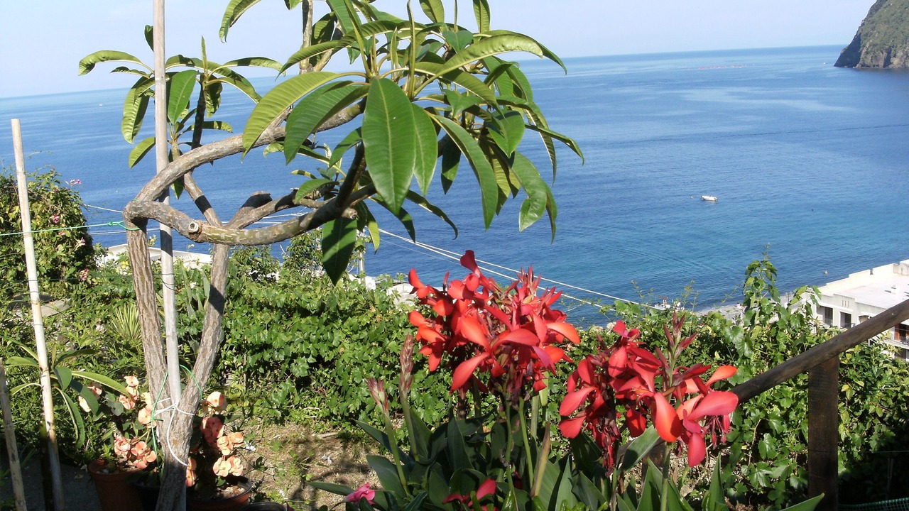 Photo of Outdoor in Canneto
