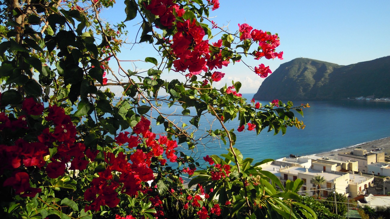 Photo of Outdoor in Canneto
