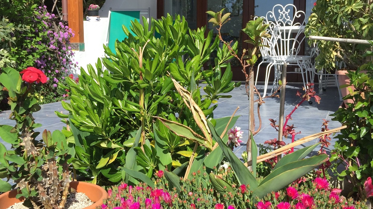 Photo of Outdoor in Canneto