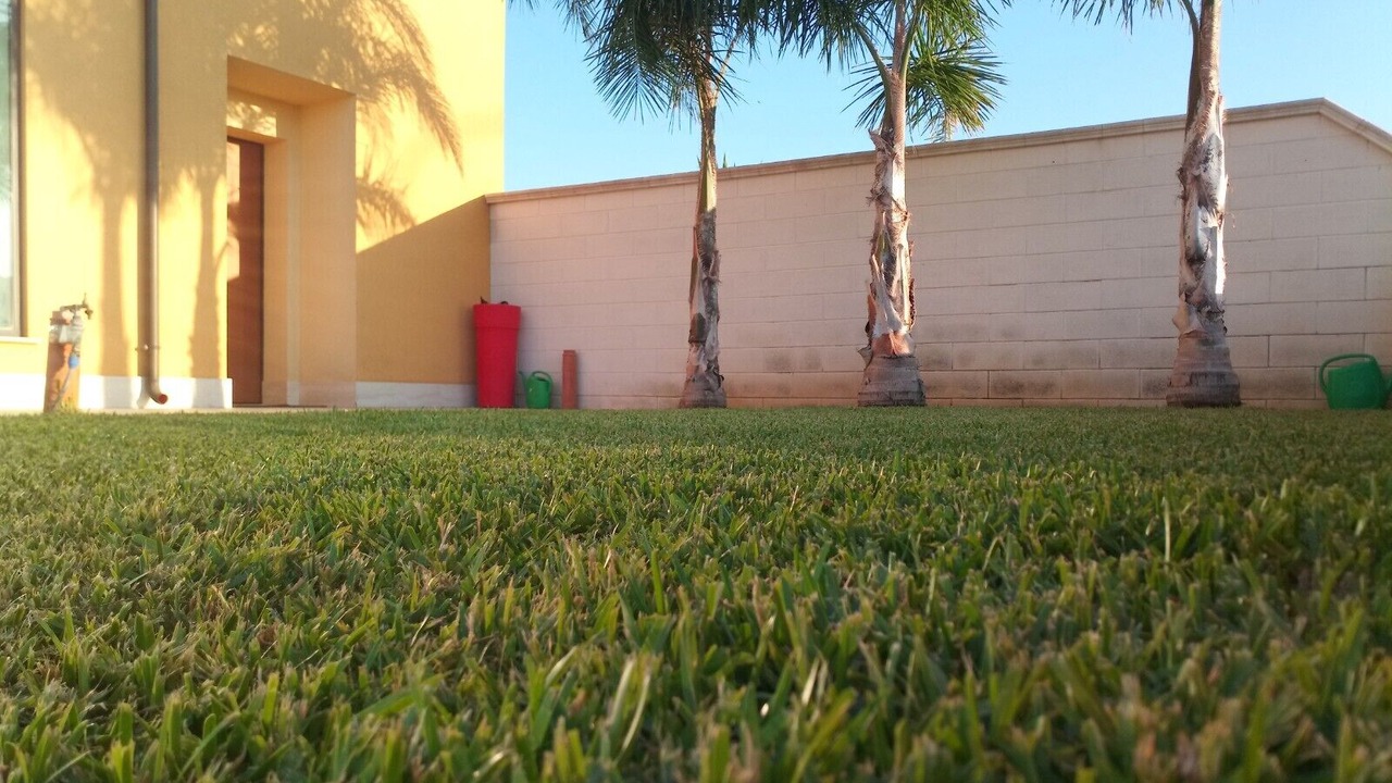 Photo of Outdoor in Alcamo