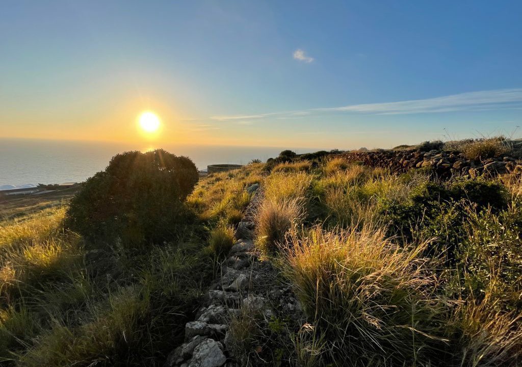 Photo of Others in Pantelleria