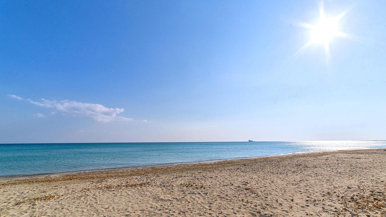 Photo of Others in Sant'Onofrio