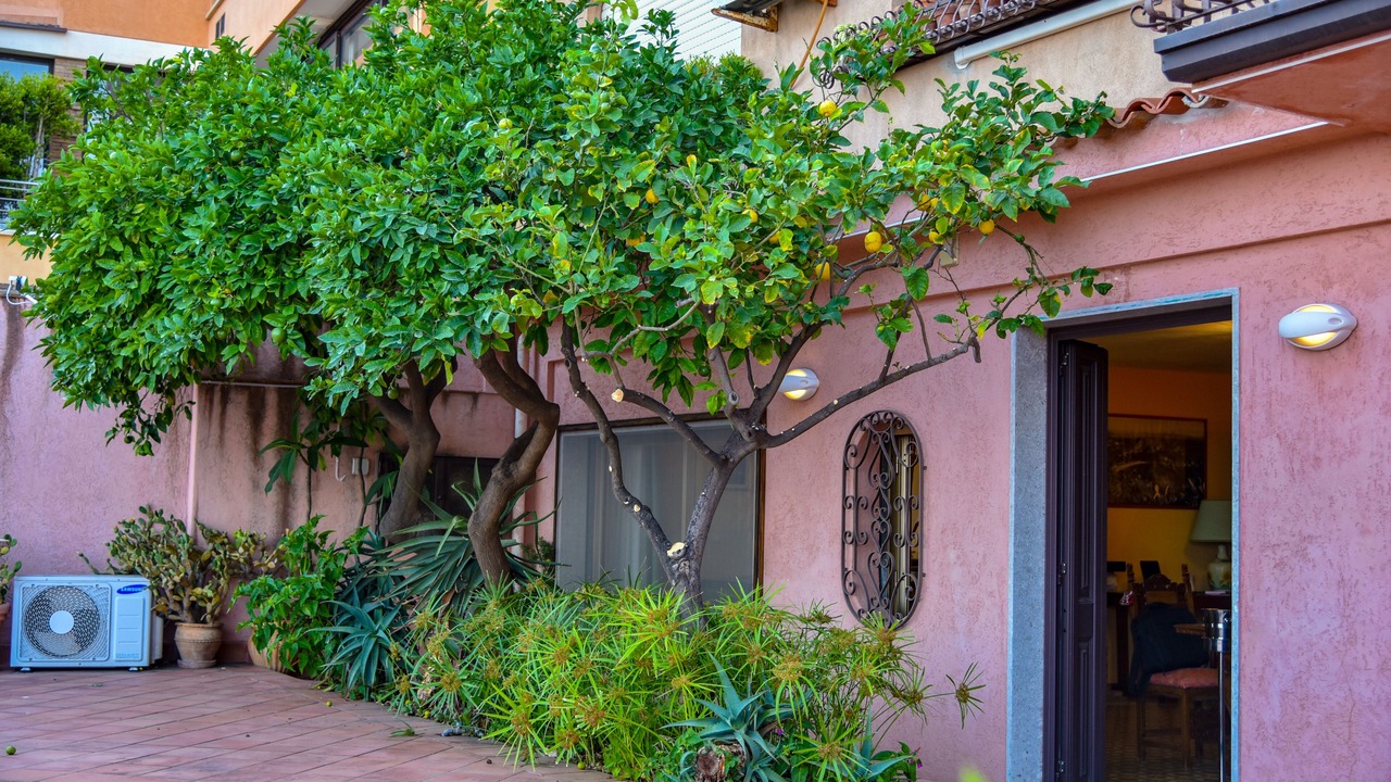 Photo of Outdoor in Mazzaro