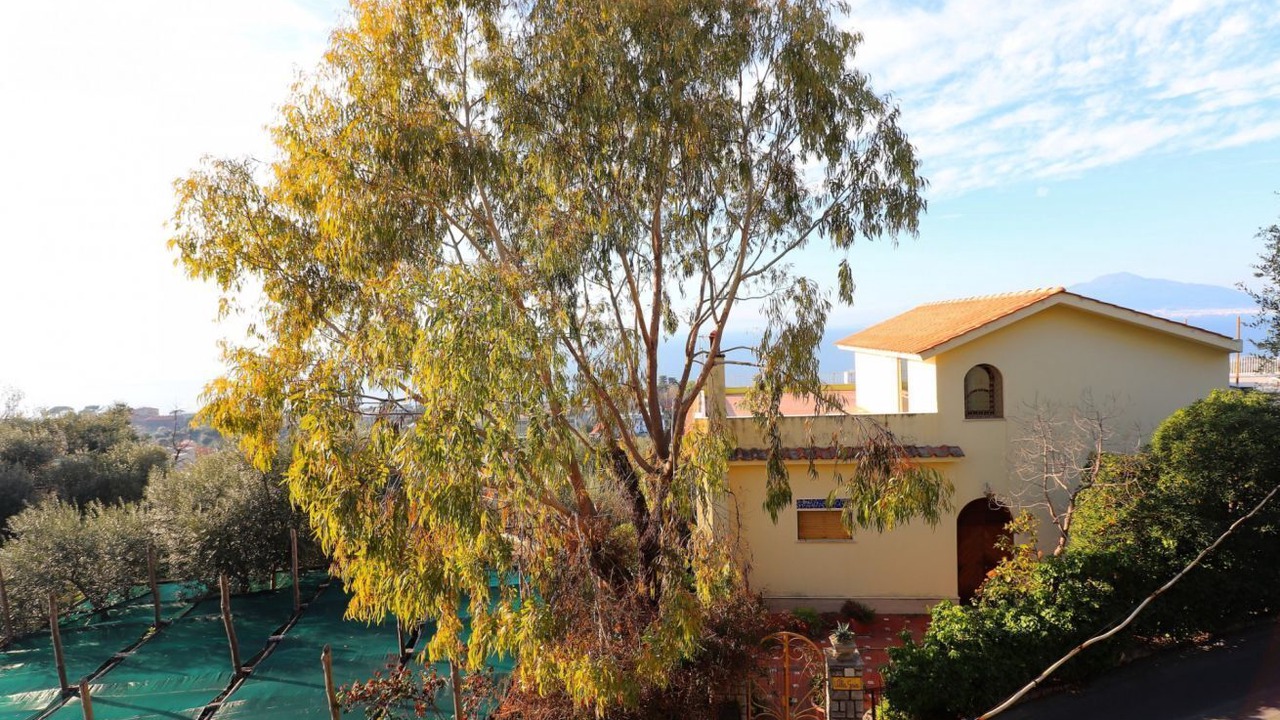 Photo of Outdoor in Sant'Agnello