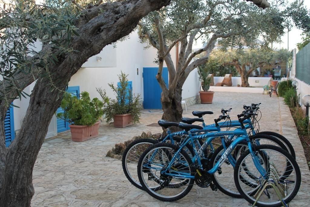 Photo of Outdoor in Marsala