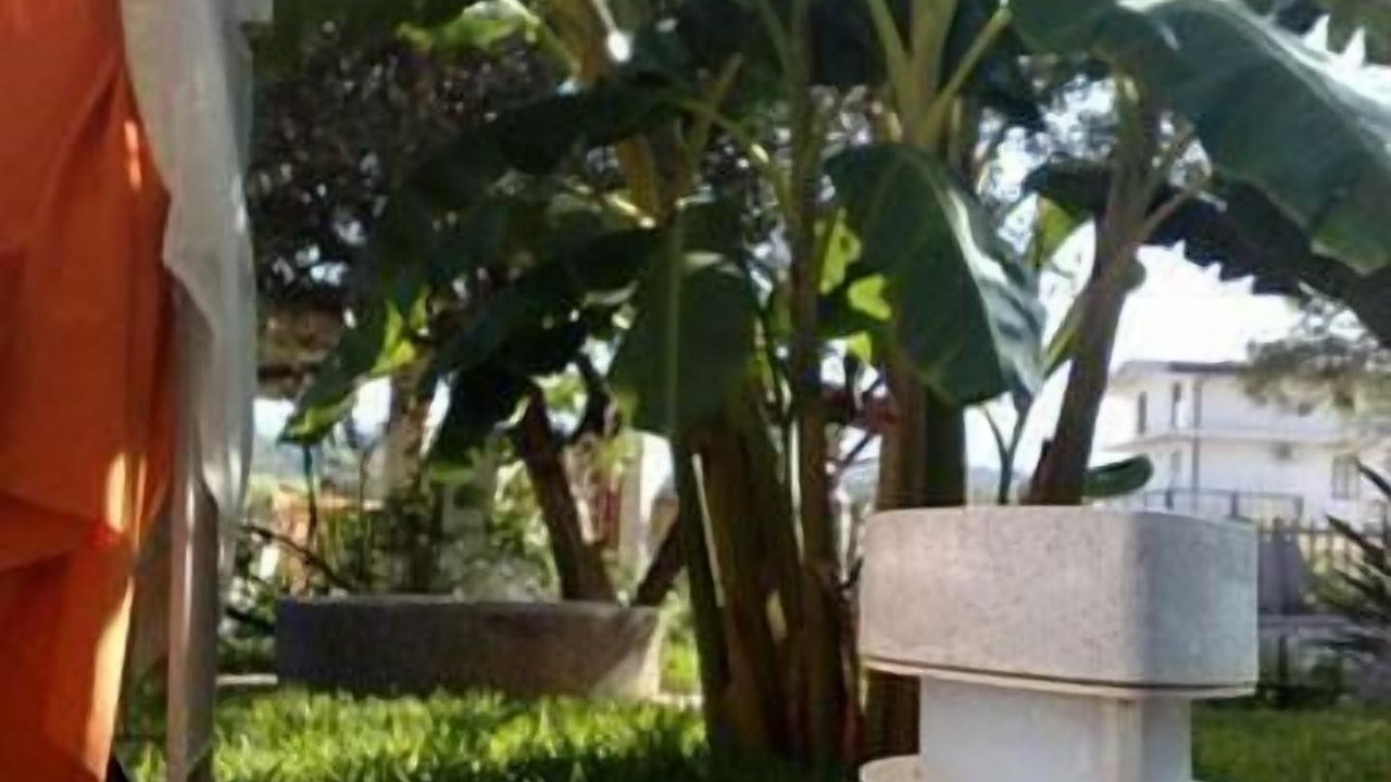 Photo of Outdoor in Montepaone