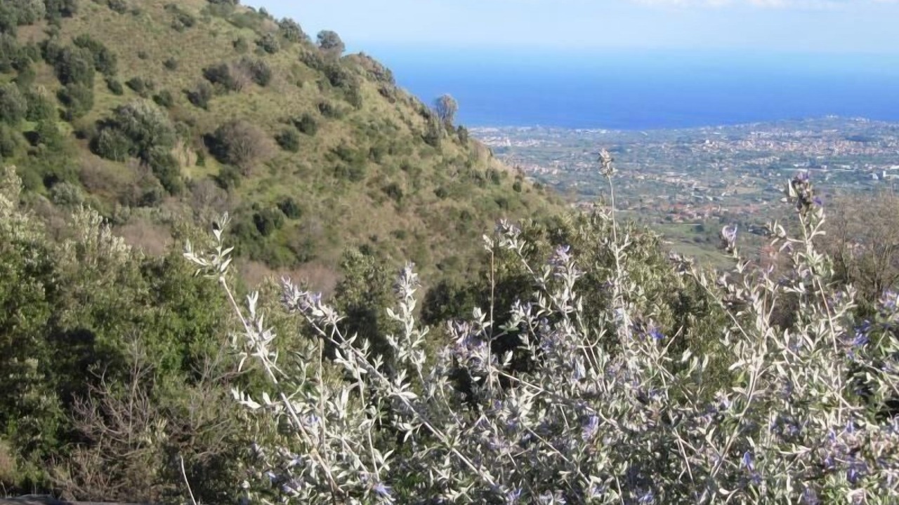 Photo of Others in Zafferana Etnea
