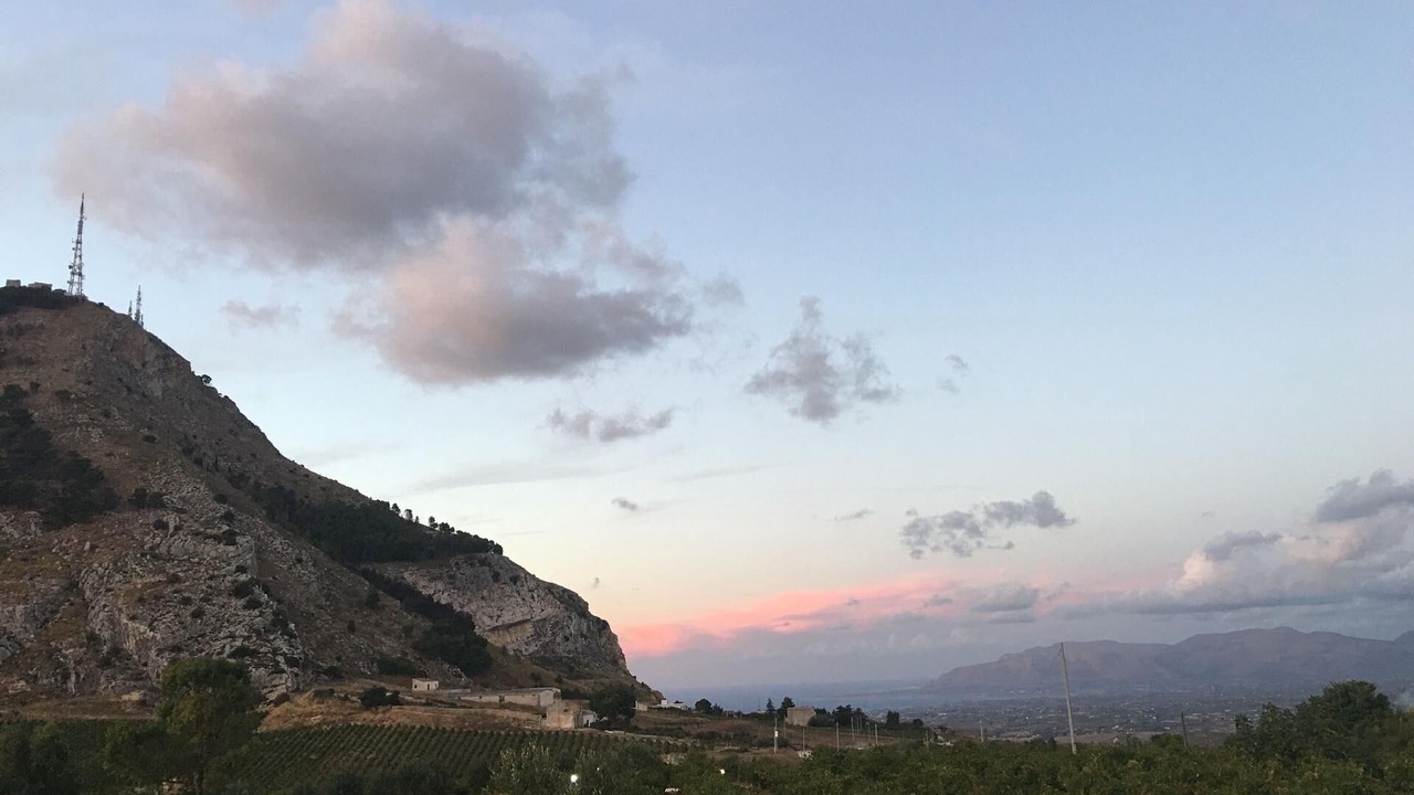 Photo of Others in Alcamo