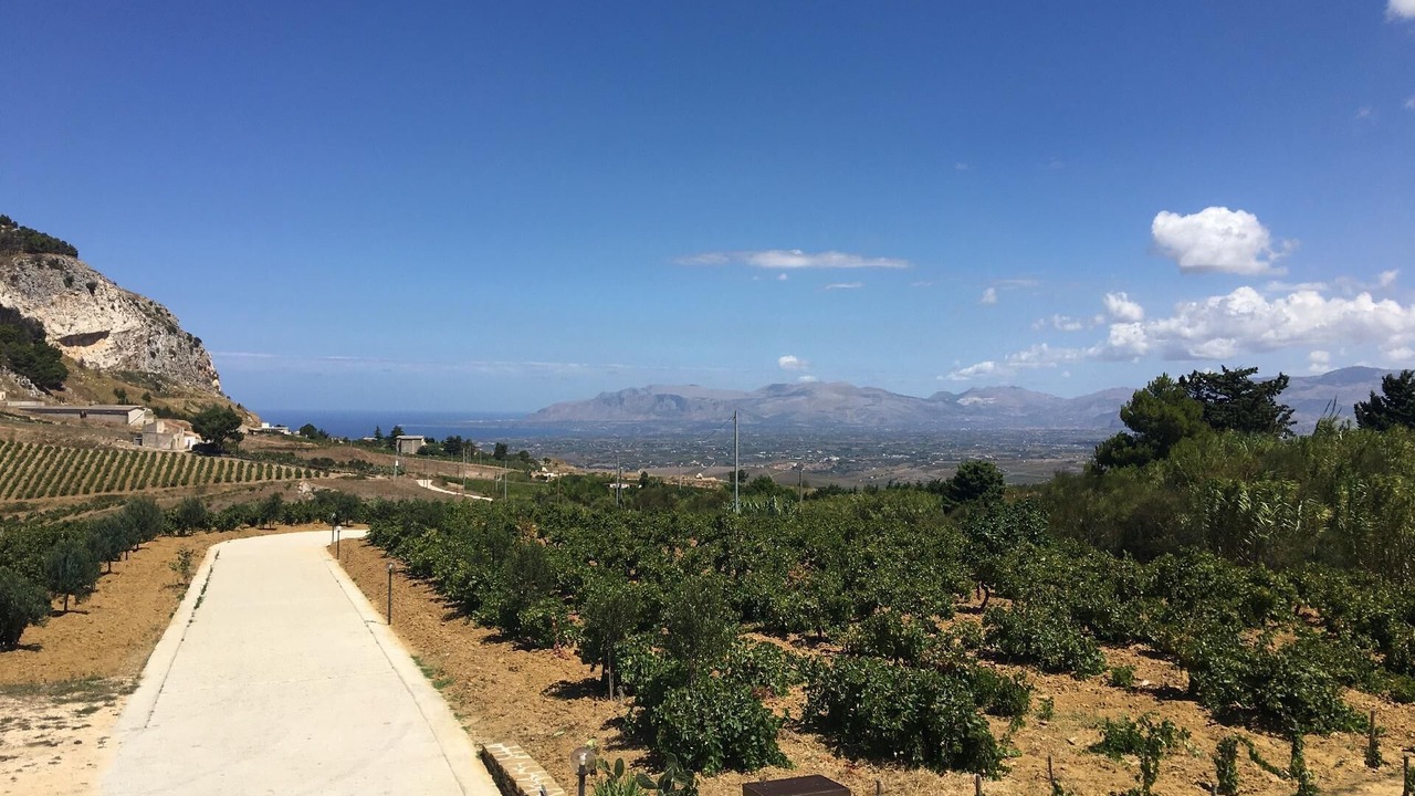 Photo of Others in Alcamo