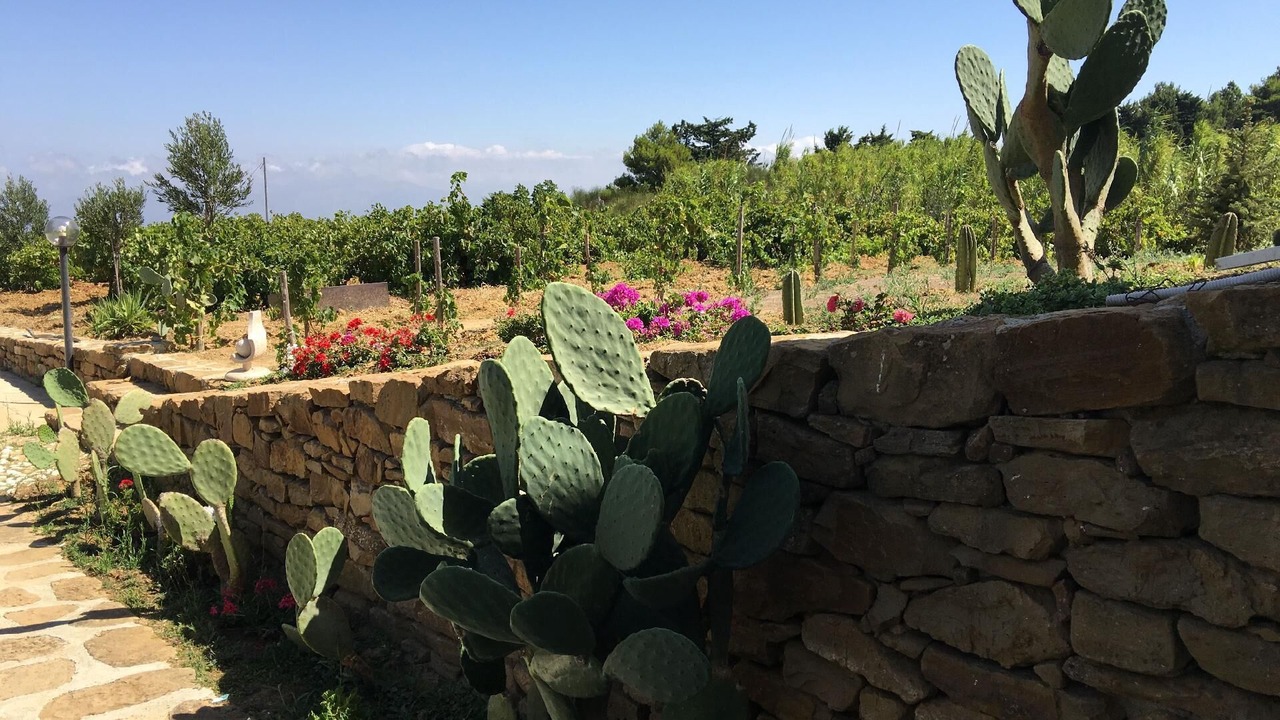 Photo of Outdoor in Alcamo