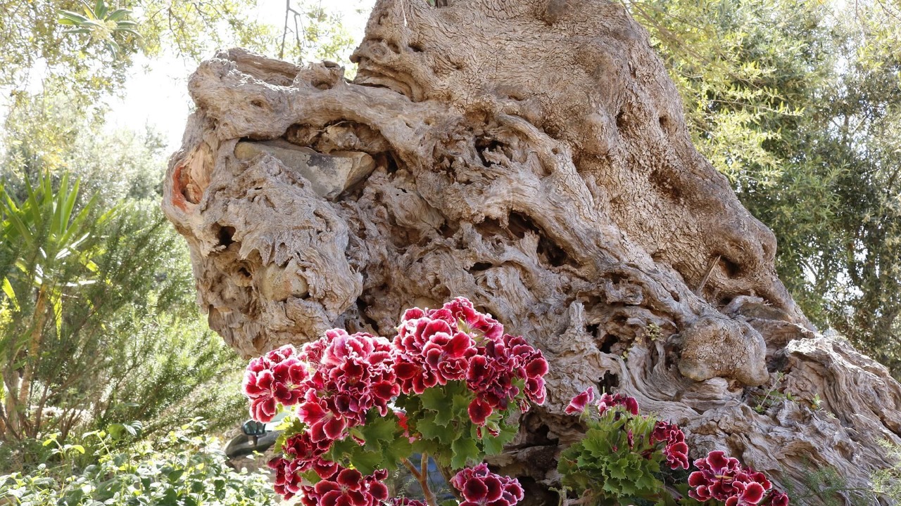 Photo of Outdoor in Tusa
