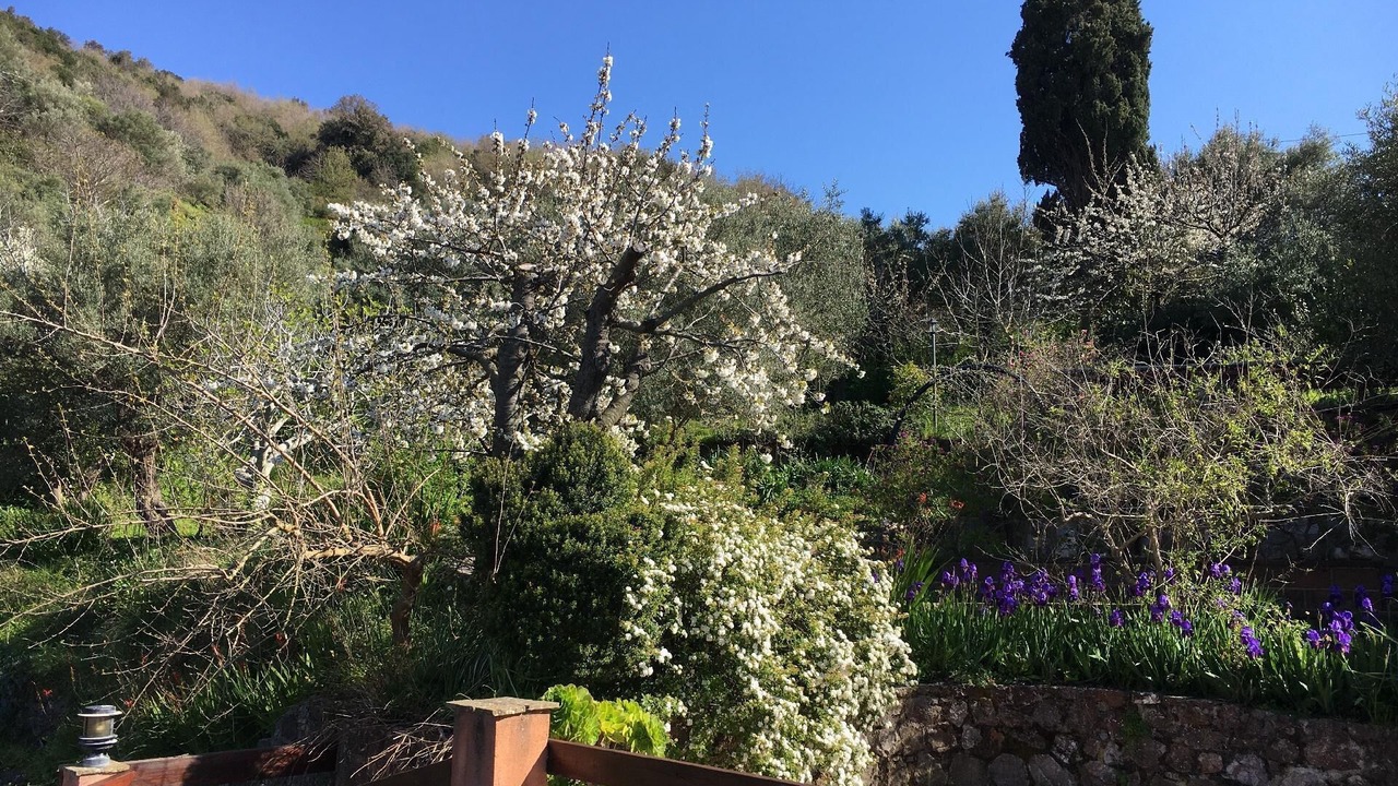 Photo of Outdoor in Santo Stefano