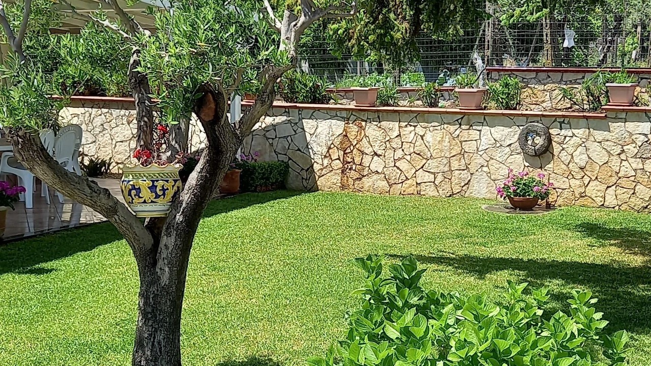 Photo of Outdoor in Zafferana Etnea