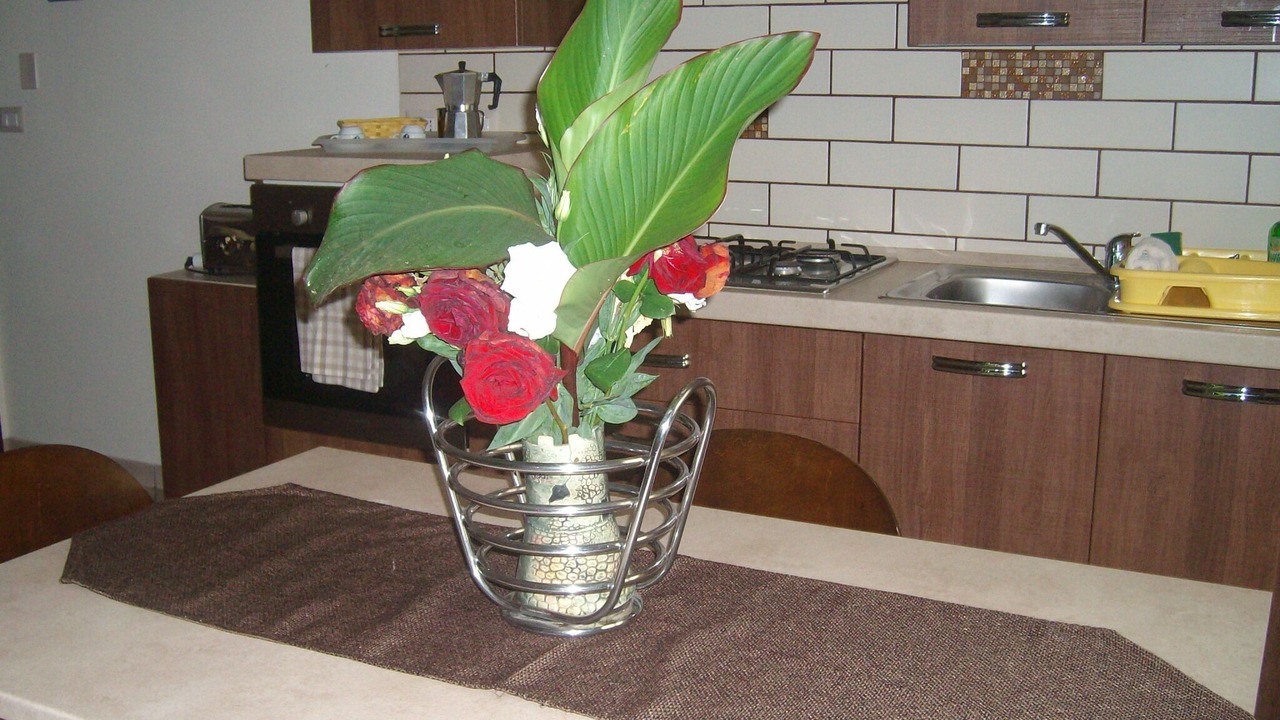 Photo of Kitchen in Archi