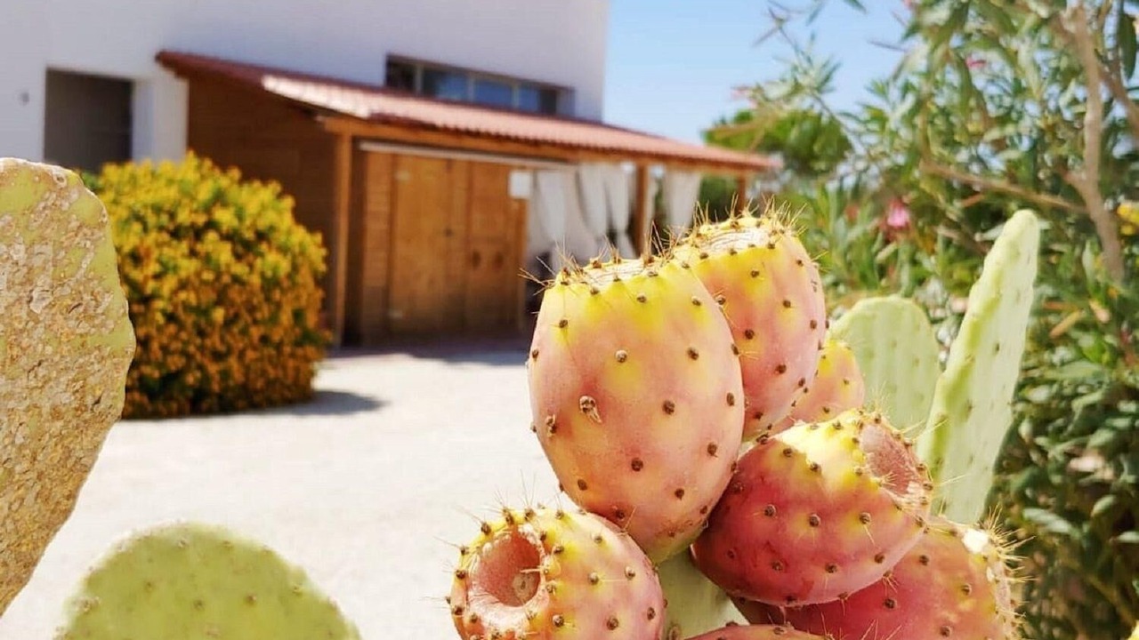 Photo of Outdoor in Marsala