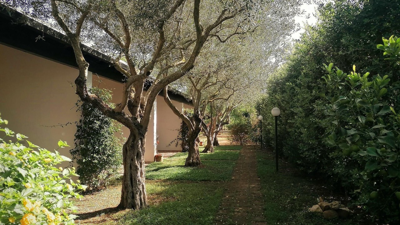 Photo of Outdoor in Marsala