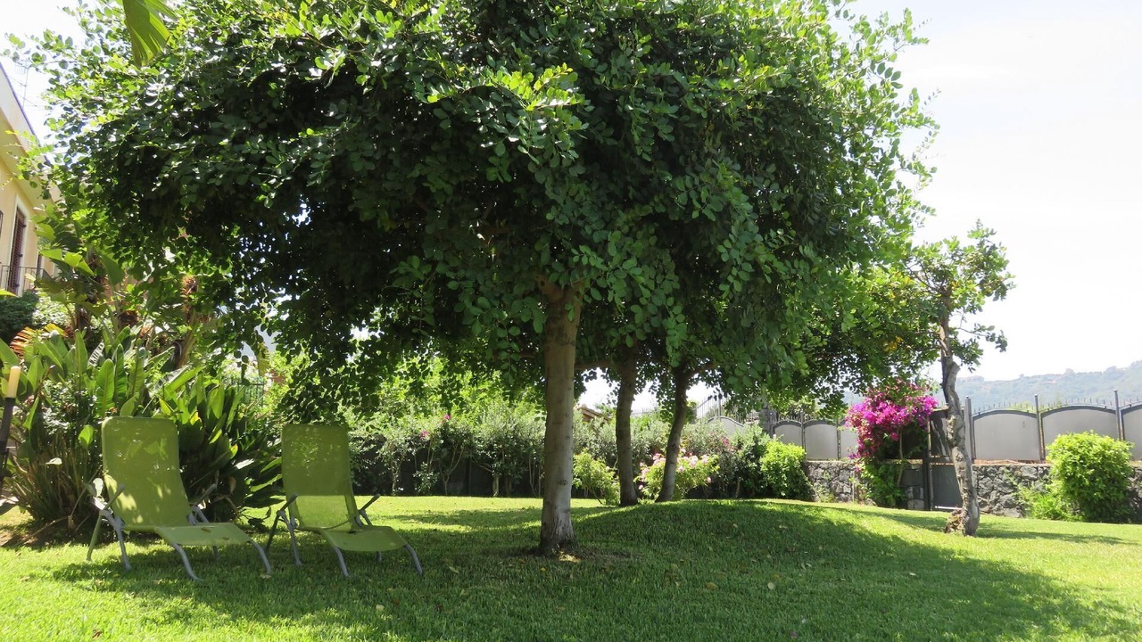 Photo of Outdoor in Santa Tecla