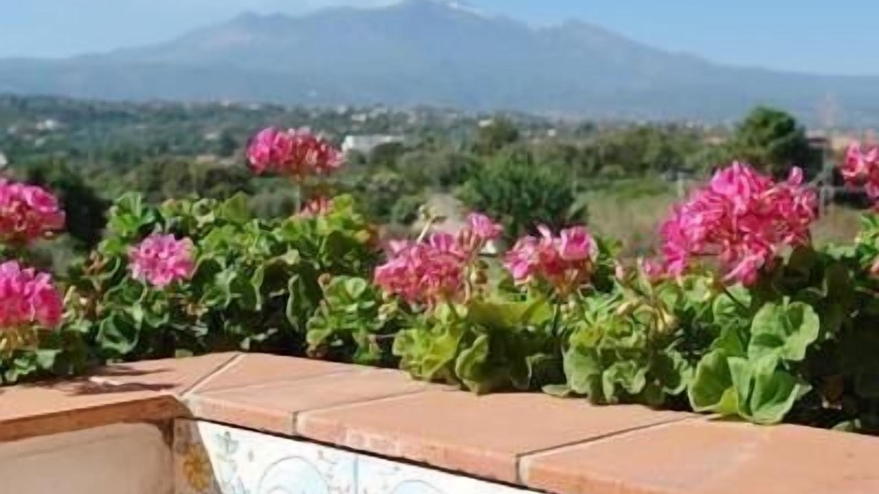 Photo of Outdoor in Santa Tecla