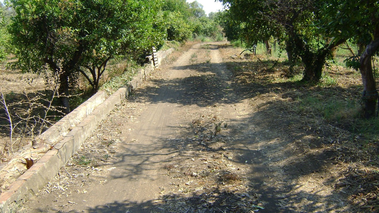 Photo of Outdoor in Archi