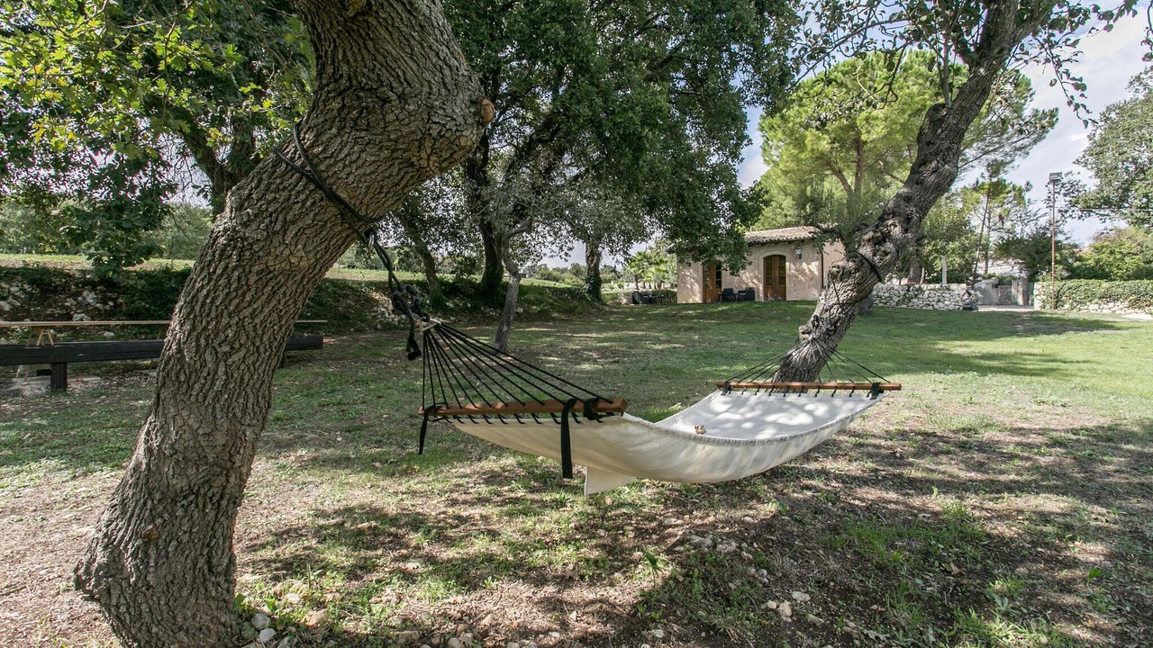 Photo of Others in Noto