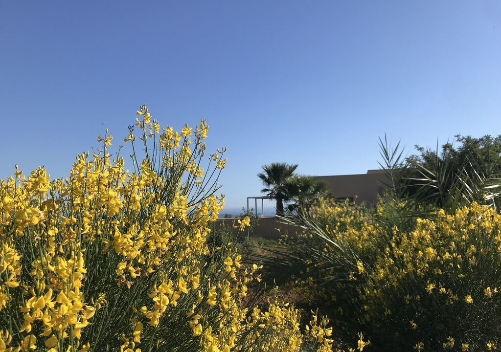 Photo of Outdoor in Menfi