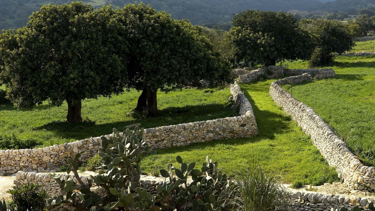Photo of Others in Ragusa