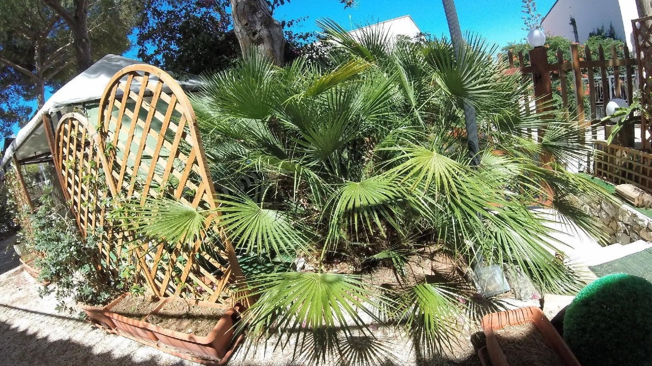 Photo of Outdoor in San Vito Lo Capo