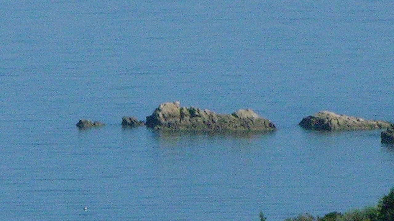 Photo of Others in Tusa