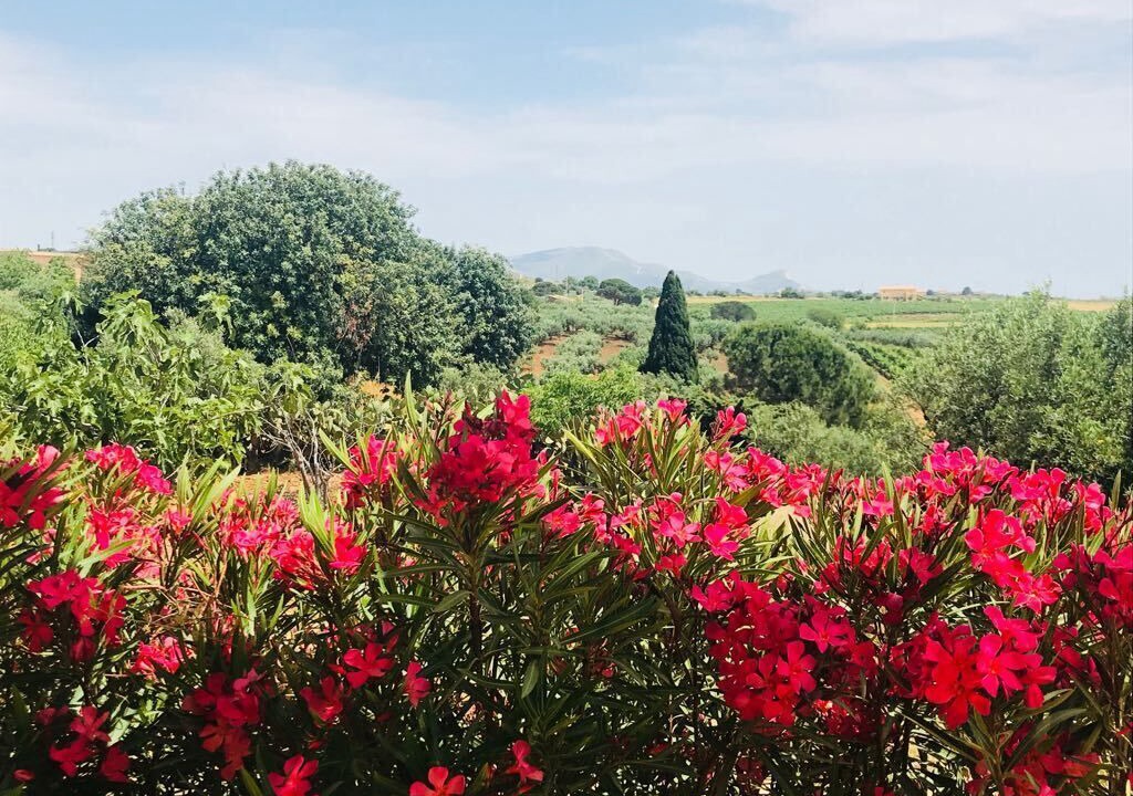 Photo of Outdoor in Menfi